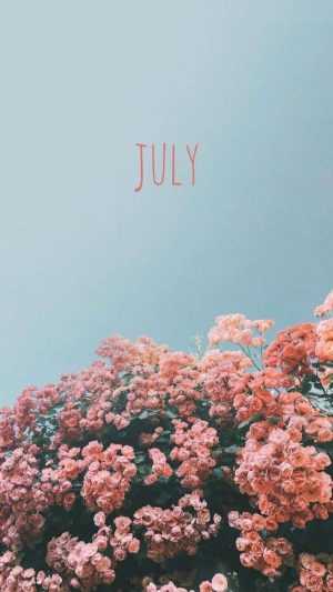 July Wallpaper