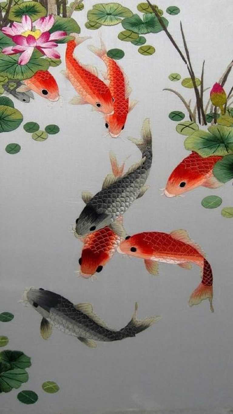 Wallpaper Koi Fish - iXpap