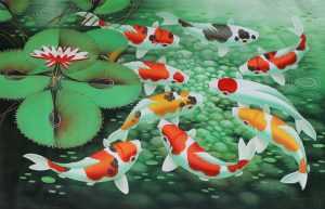 Koi Fish Wallpapers