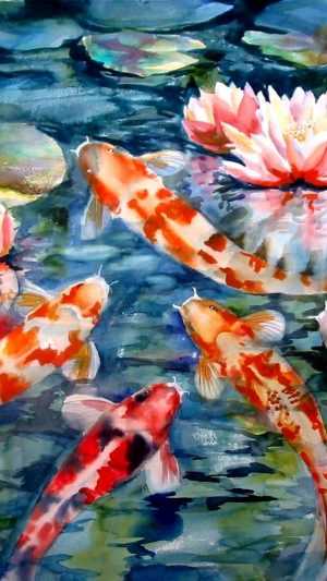 Koi Wallpaper Koi Wallpaper