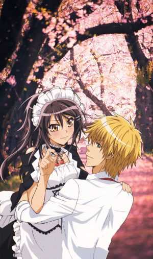 Maid Sama Wallpaper