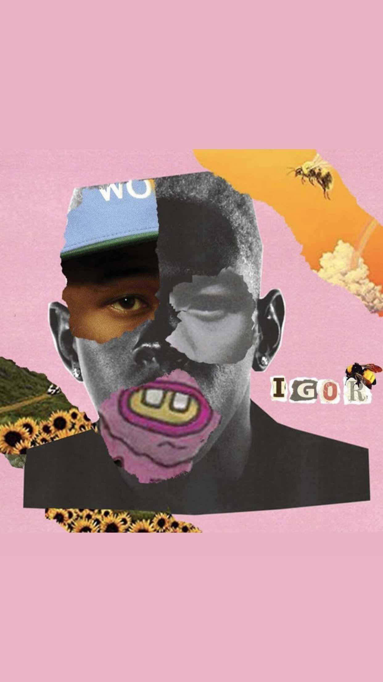 Tyler The Creator Wallpaper - iXpap