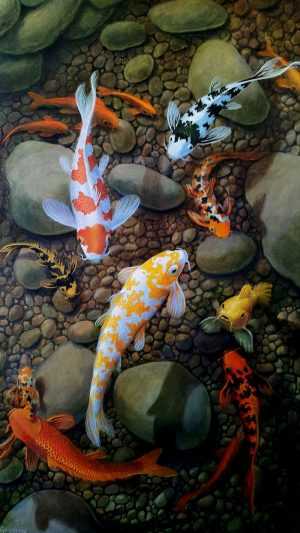 Wallpaper Koi Fish