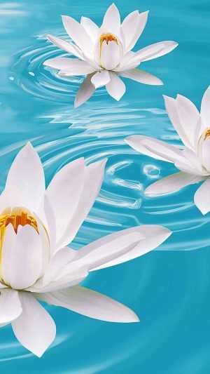 White Lotus Wallpapers