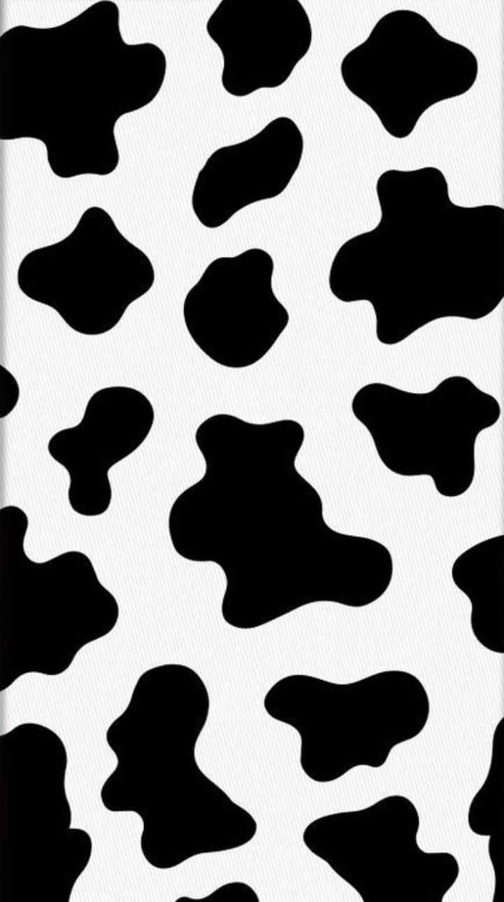 hd-cow-print-wallpaper-ixpap-4.jpg