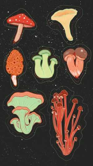 Mushroom Background