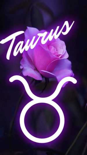 Taurus Background