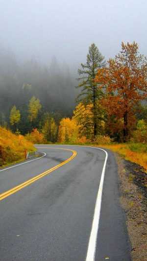 Autumn Road Wallpaper