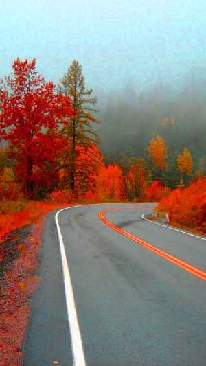 Autumn Road Wallpaper