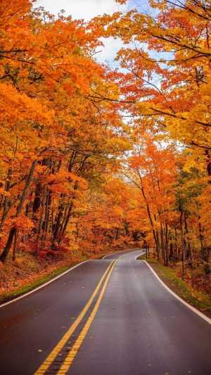 Autumn Road Wallpaper