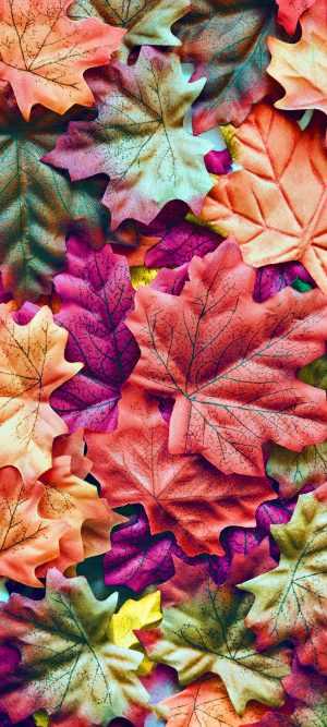 Autumn Wallpapers
