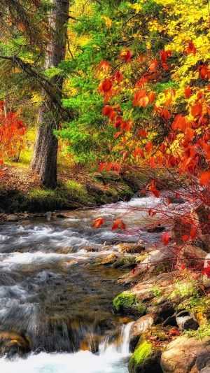 Autumn Wallpapers Autumn Wallpapers