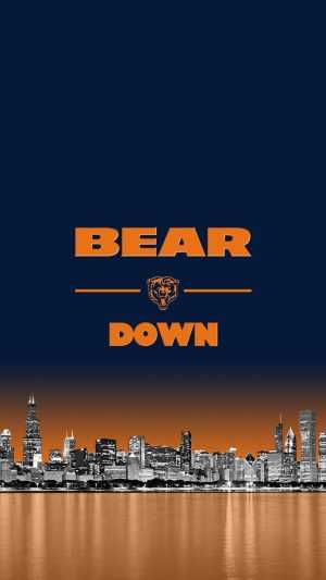 Bears Wallpapers