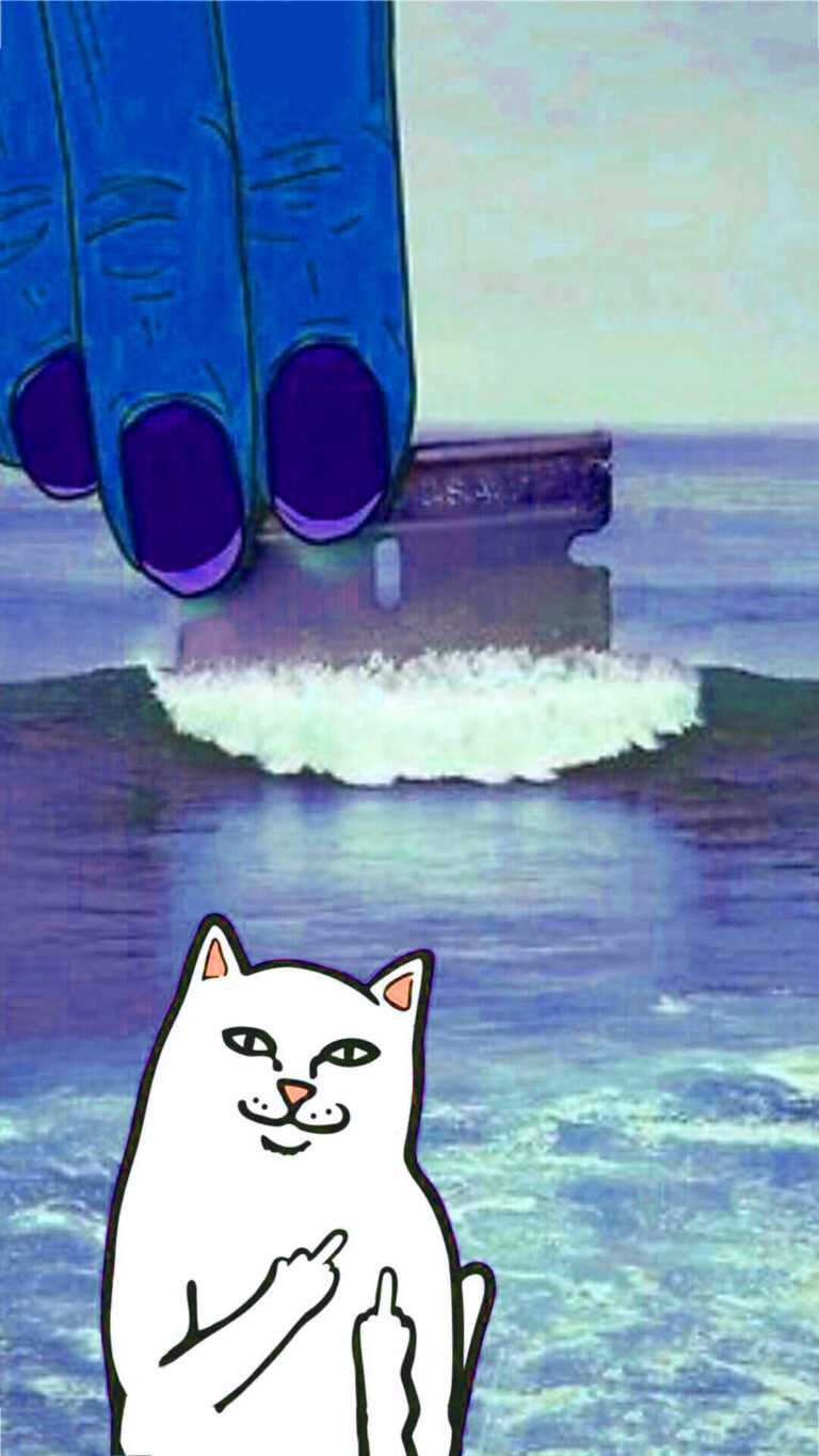 Middle Finger Wallpaper Desktop iXpap