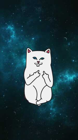 Cat Middle Finger Wallpaper - iXpap