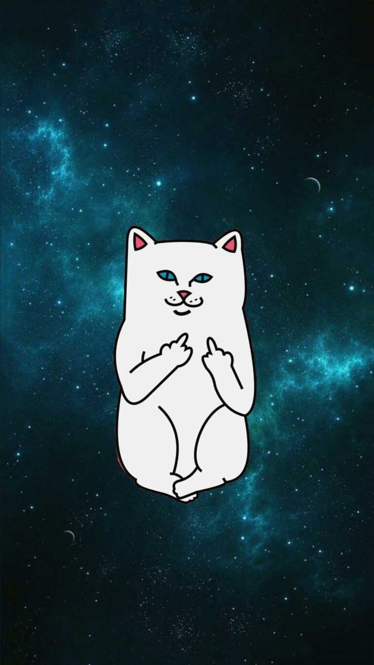 Middle Finger Wallpaper Black | PixLith