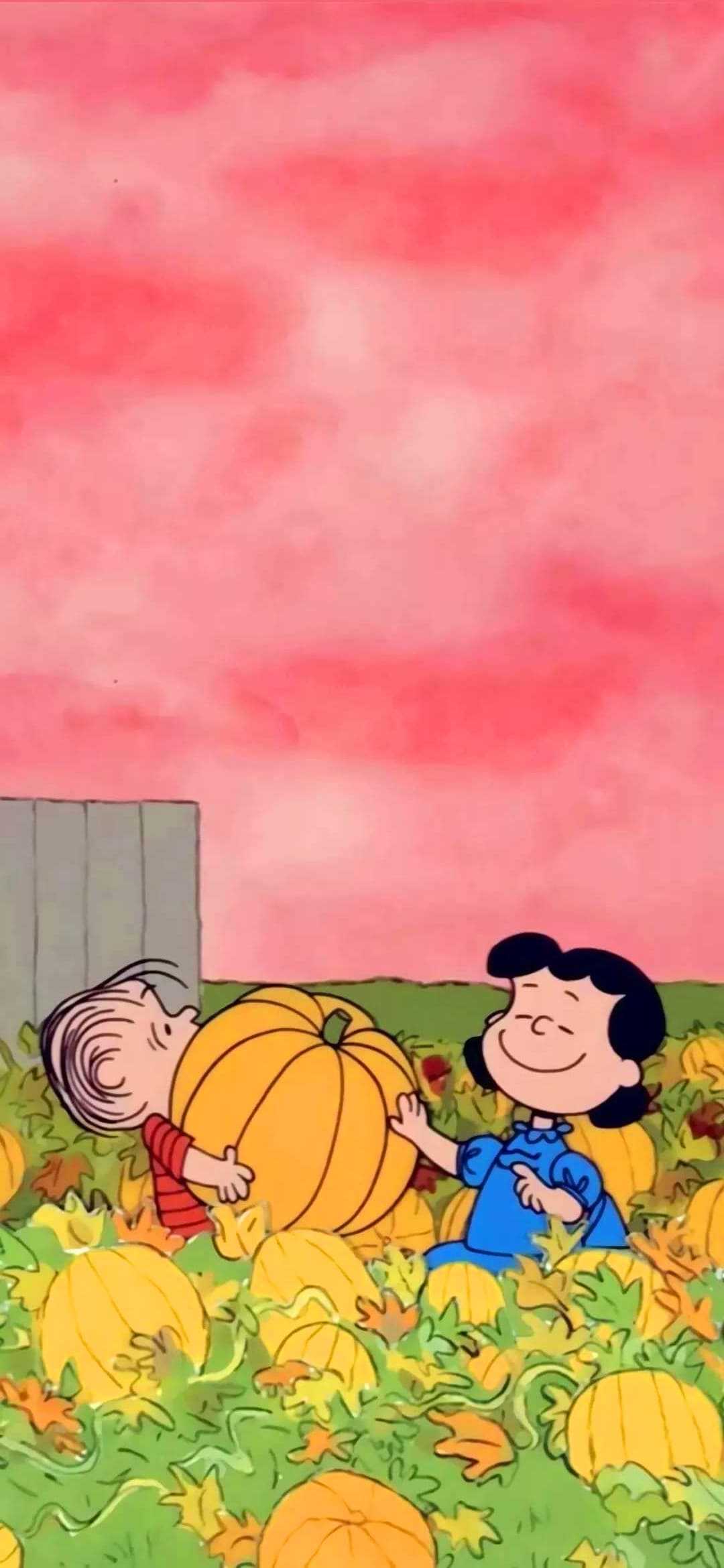 great pumpkin wallpaper