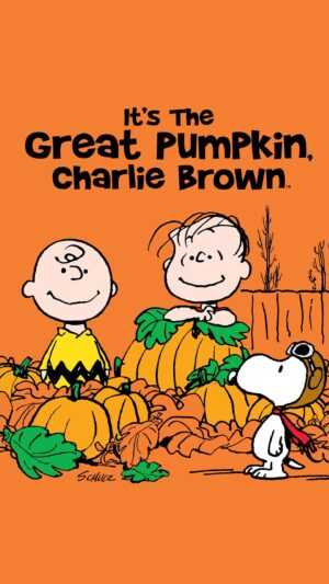 Great Pumpkin Charlie Brown Wallpaper