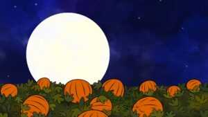 Great Pumpkin Charlie Brown Wallpaper