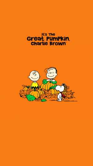 Great Pumpkin Charlie Brown Wallpaper