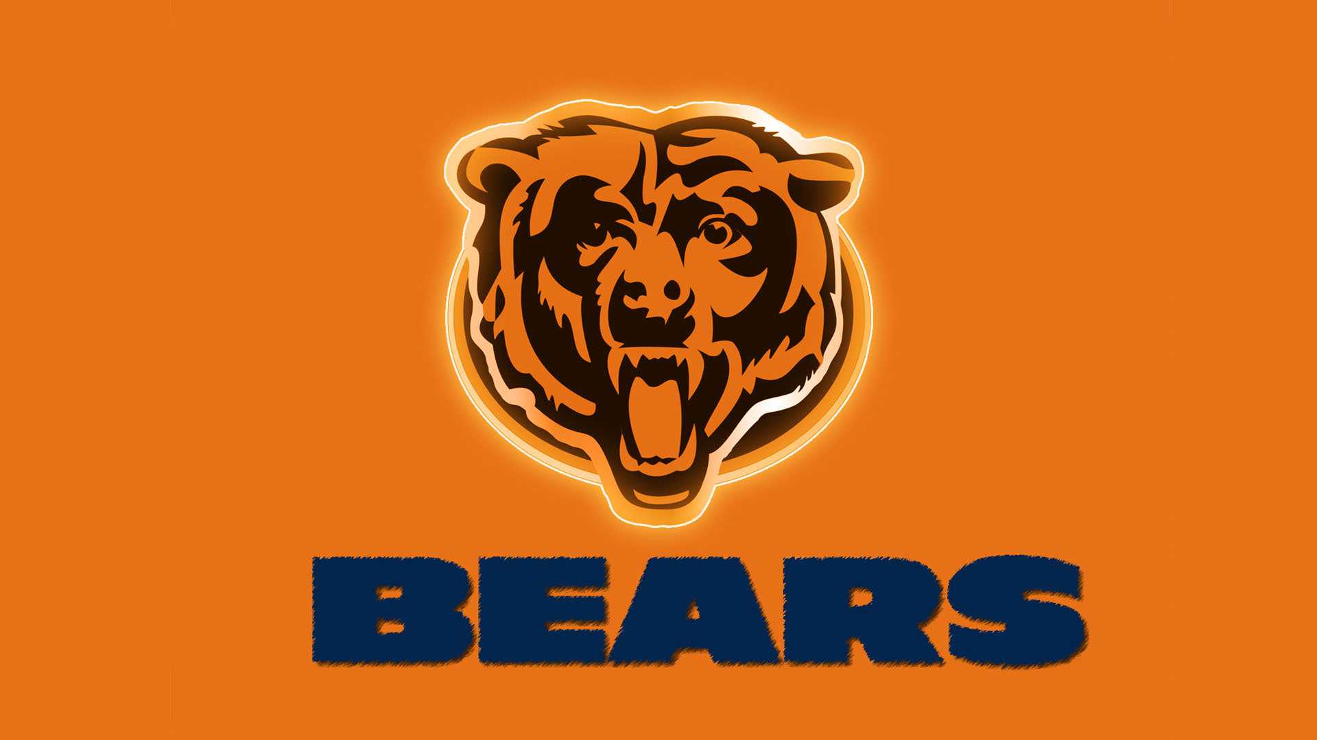 HD Bears Wallpaper - iXpap