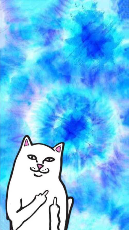 Middle Finger Wallpaper iXpap