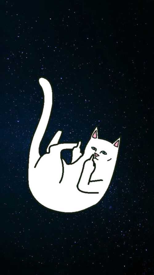 Middle Finger Wallpaper iXpap