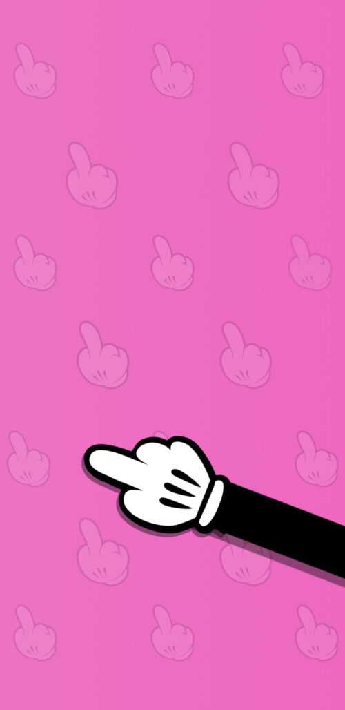 Cat Middle Finger Wallpaper iXpap