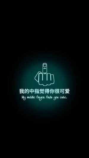 Middle Finger Wallpapers