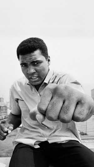 Muhammad Ali Wallpapers