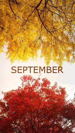 September Wallpaper