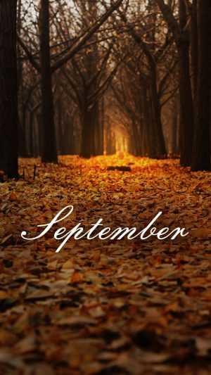 September Wallpaper