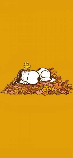 Snoopy Autumn Wallpaper