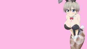 Uzaki Chan Bunnygirl Wallpaper