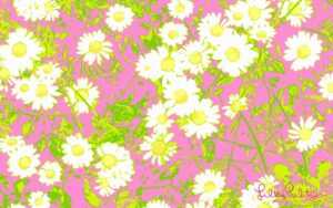 Wallpaper Lilly Pulitzer