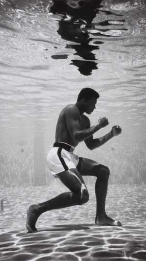Wallpaper Muhammad Ali