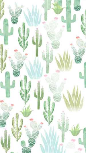 Cactus Wallpaper