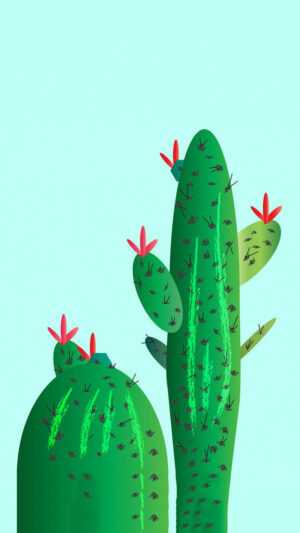 Cactus Wallpaper iPhone