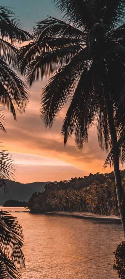 1080×2400 Wallpapers iXpap — free download