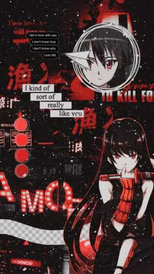 Akame Ga Kill Wallpaper