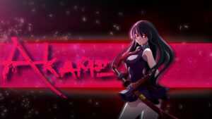 Akame Ga Kill Wallpaper