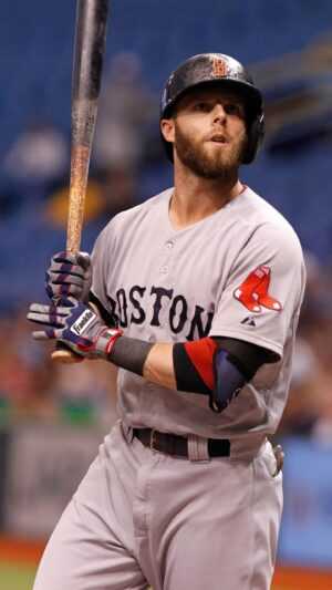 Dustin Pedroia Wallpaper