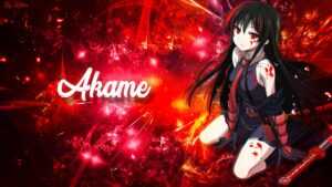 HD Akame Wallpaper