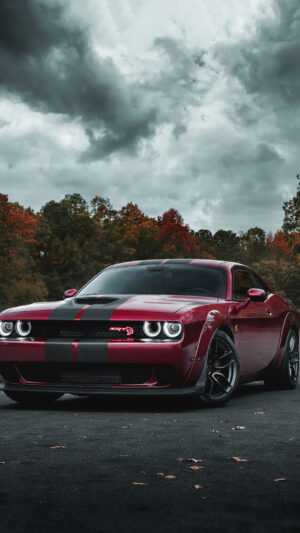 Hellcat Wallpaper