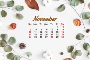 November Calendar 2021 Wallpaper