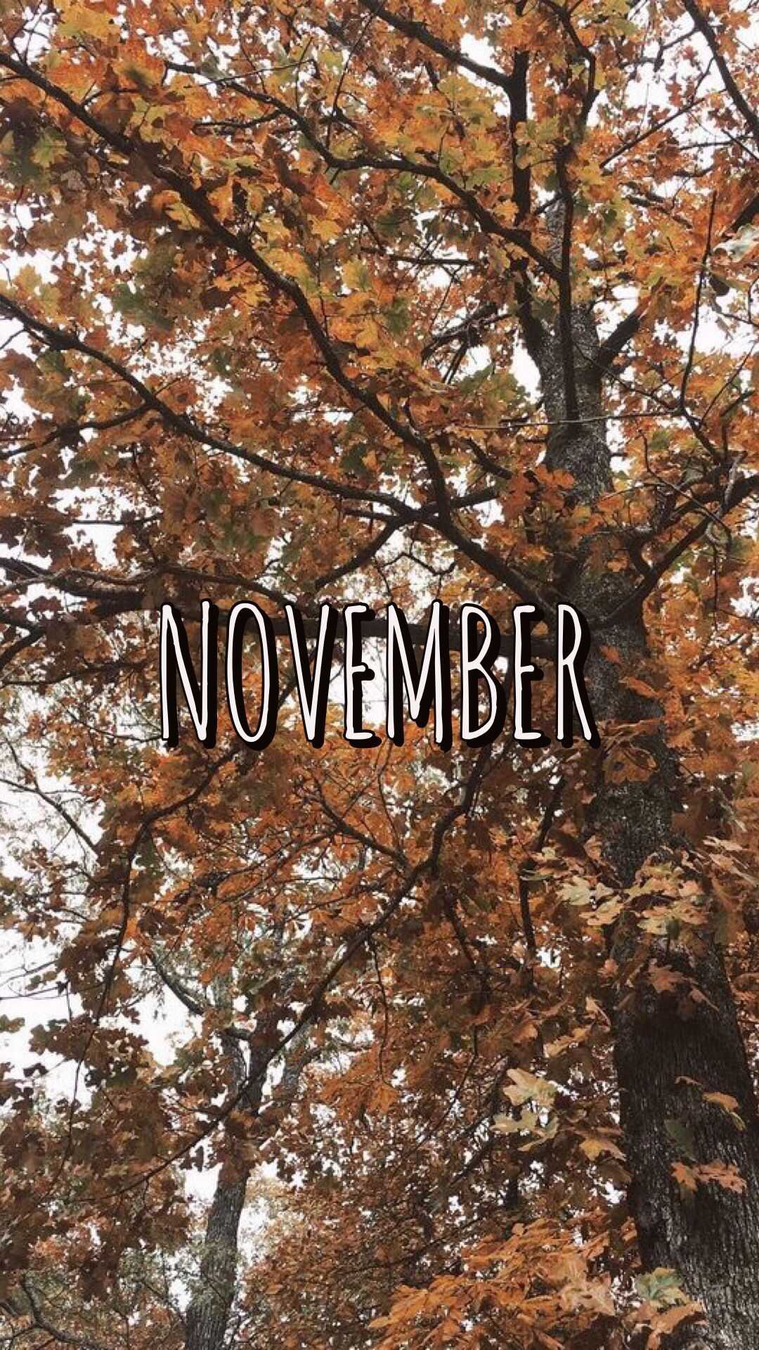 Hello November Wallpaper iXpap