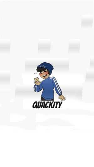 Quackity Wallpaper