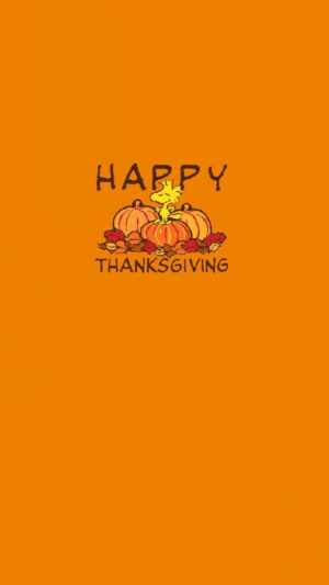 Thanksgiving Wallpaper