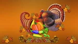 Turkey Thanksgiving Wallpaper