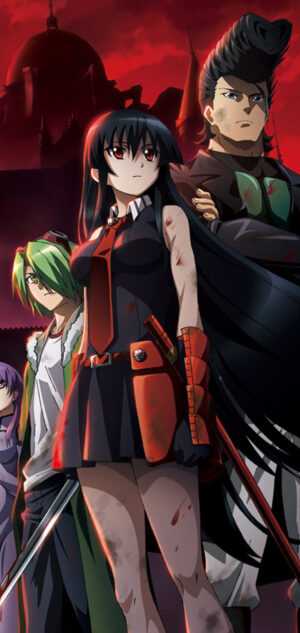 Wallpaper Akame Ga Kill